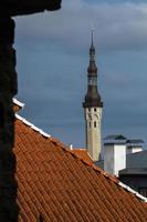 cidade velha de tallinn no verão foto