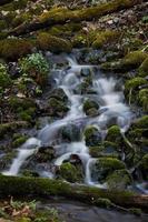 pequeno rio da floresta no início da primavera foto