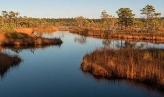 dia de outono no lago pântano foto