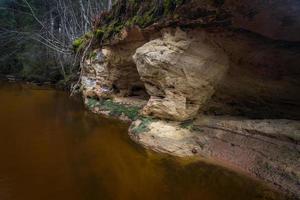 pequeno rio da floresta no início da primavera foto