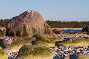 vistas da primavera da ilha de hiiumaa foto