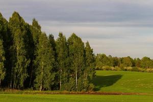 paisagens da zona rural da letônia na primavera foto