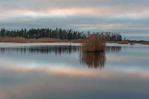 dia de outono no lago pântano foto