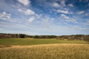 paisagens de primavera com nuvens foto