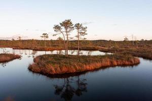 dia de outono no lago pântano foto