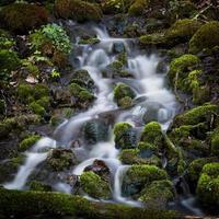 pequeno rio da floresta no início da primavera foto