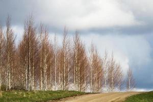 paisagens de primavera com nuvens foto