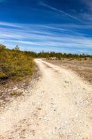 paisagens de primavera na ilha de hiiumaa foto