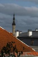 cidade velha de tallinn no verão foto