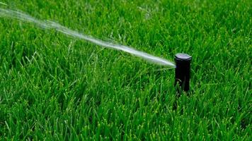 sistema automático de irrigação de jardim para regar o gramado. economia de água do sistema de irrigação por aspersão com altura regulável. automação para irrigação de gramados, jardinagem, campos de futebol ou campos de golfe. foto