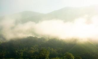 belas montanhas sob a névoa da manhã, neblina e nuvem tropical paisagem acolhedora viajantes. foto