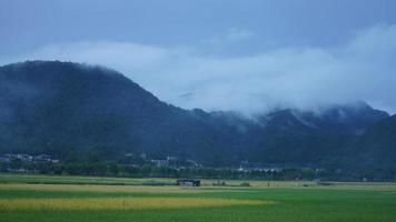 a visão do campo de arroz amarelo de colheita localizada no vale entre as montanhas com o céu nublado como pano de fundo foto