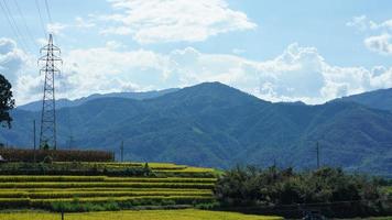 a visão do campo de arroz amarelo de colheita localizada no vale entre as montanhas com o céu nublado como pano de fundo foto