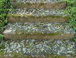 degraus antigos na floresta cobertos de folhas. natureza e a atividade humana. arquitetura antiga. foto