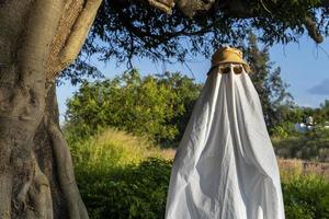 fantasma no campo aproveitando o sol e o trem passando atrás, trilhos de trem foto