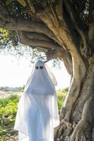 fantasma no campo aproveitando o sol e o trem passando atrás, trilhos de trem foto