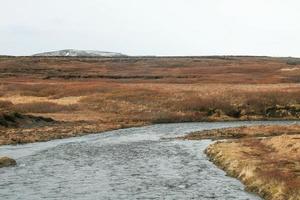 uma paisagem típica islandesa na primavera 3 foto