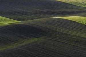 cena rural. campos agrícolas verdes da moravia durante o dia. clima agradável foto