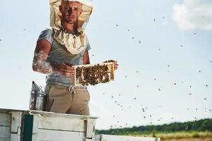 céu limpo. apicultor trabalha com favo de mel cheio de abelhas ao ar livre em dia ensolarado foto