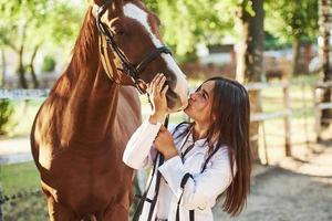 dando um beijo. veterinária examinando cavalo ao ar livre na fazenda durante o dia foto