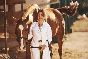 bela luz do sol. veterinária examinando cavalo ao ar livre na fazenda durante o dia foto