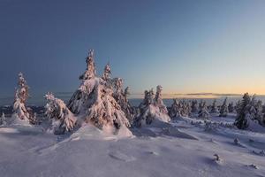 a neve cobre muito terreno e árvores. paisagem mágica de inverno
