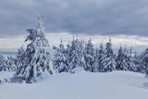 céu nublado. paisagem mágica do inverno com árvores cobertas de neve durante o dia foto