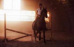 imagem majestosa da silhueta do cavalo com o cavaleiro no fundo por do sol. a garota jockey nas costas de um garanhão cavalga em um hangar em uma fazenda foto
