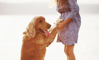 segurando pelas mãos. menina bonitinha passear com seu cachorro ao ar livre em dia ensolarado foto