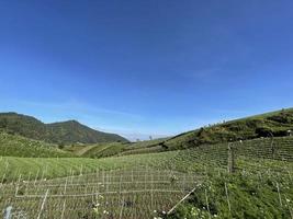 bela vista panorâmica da montanha e campos verdes, linda paisagem para fundos foto