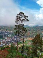 a aldeia no meio dos campos de batata vista do topo da colina na área do planalto dieng foto