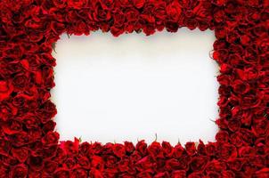 moldura de rosa vermelha com espaço em branco branco para o conceito de aniversário, mãe e dia dos namorados. foto