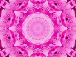 padrão de caleidoscópio floral magenta. fundo único e estético abstrato de flor rosa foto