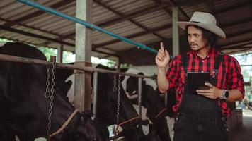 agricultor masculino usando tablet para verificar seu gado e qualidade do leite na indústria de laticínios .agriculture, agricultura e pecuária conceito, vaca na fazenda de laticínios comendo feno, estábulo. foto