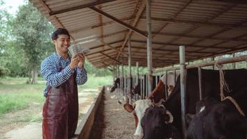 agricultores sorridentes e felizes obtêm renda da fazenda de gado leiteiro. indústria agrícola, agricultura e conceito de pecuária, vaca na fazenda de gado leiteiro comendo feno. estábulo. foto