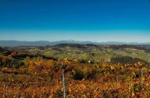 as cores do langhe no outono em serralunga alba, com as vinhas e colinas coloridas com cores quentes como a estação do outono foto