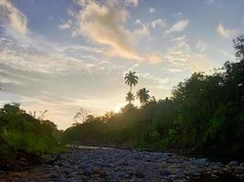 bela vista céu azul claro e muitas árvores verdes naturais foto