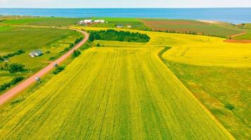 vista completa da fazenda canola no oceano atlântico, ilha do príncipe edward, canadá foto