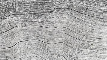 rachadura de textura de madeira velha, tom cinza-branco. use isso para papel de parede ou imagem de fundo. há um espaço em branco para o texto. foto