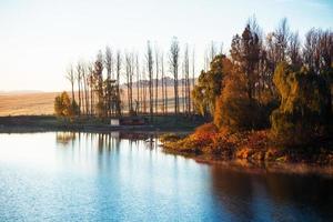 folhagem de outono colorida no lago foto