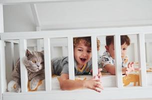 dois meninos descansando e se divertem juntos no quarto. gato sentado perto deles foto