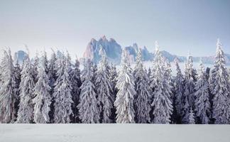 majestosa paisagem com floresta no inverno. cenário de fundo foto