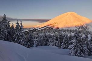 majestosa montanha petros iluminada pela luz do sol. paisagem mágica do inverno com árvores cobertas de neve durante o dia foto