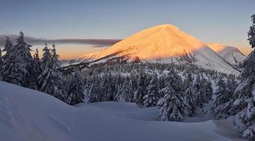 majestosa montanha petros iluminada pela luz do sol. paisagem mágica do inverno com árvores cobertas de neve durante o dia foto