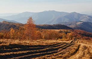 majestosa paisagem de árvores de outono e montanhas no horizonte foto