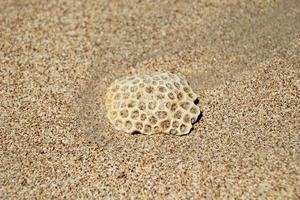 viajar para koh lanta, tailândia. a pedra na praia de areia. foto