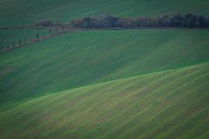 paisagem de outono em campos da morávia foto