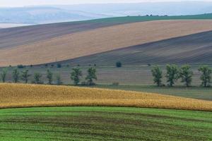 paisagem de outono em campos da morávia foto