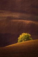 paisagem de outono em campos da morávia foto