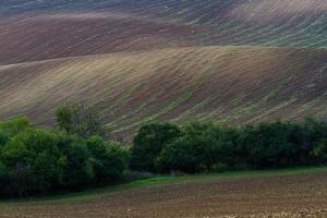 paisagem de outono em campos da morávia foto